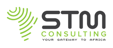 STM Consulting logo